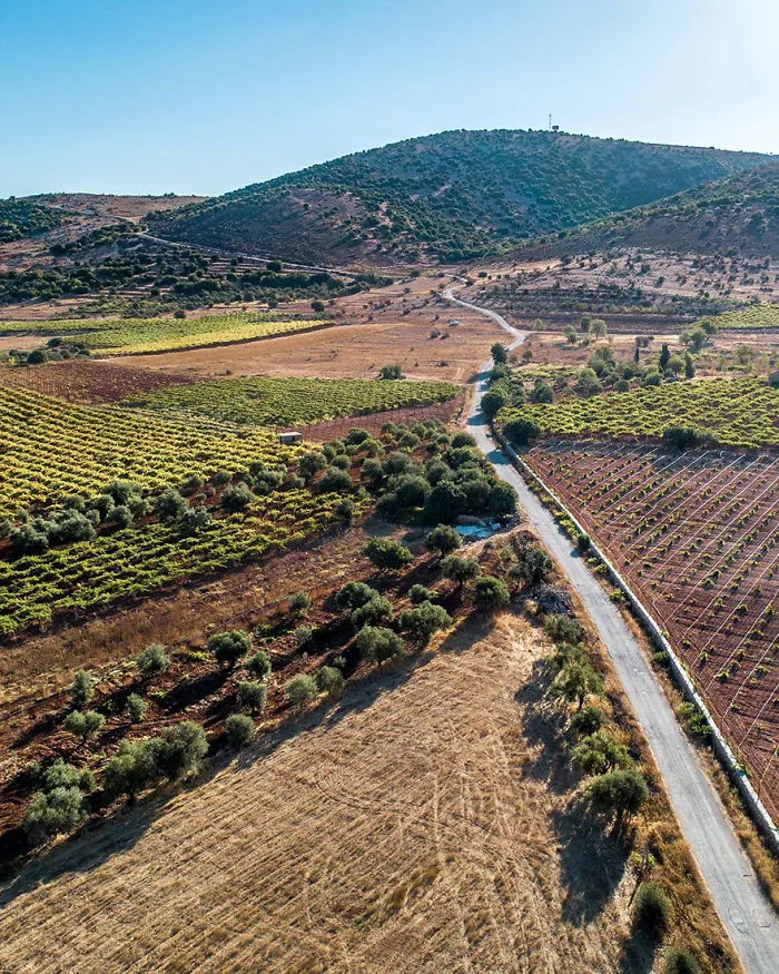 Overshadowed By The Syrian War, Lebanon's Beauty Is Revealed In 50 Breathtaking Photos