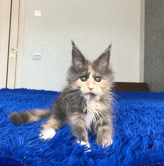 Look At Her Eyes