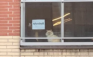 The Conversation This Woman Had With A Cat Next Door Is Going Viral And It’s Too Cute