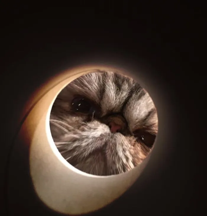 Moon Selfie