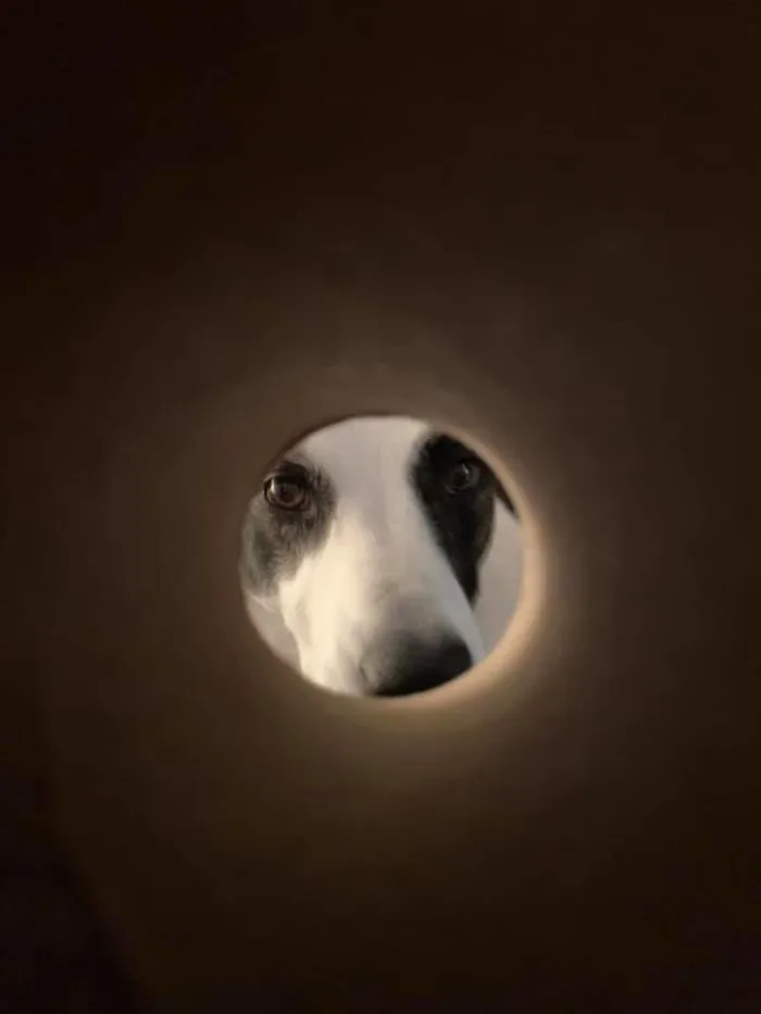 Le da miedo el rollo