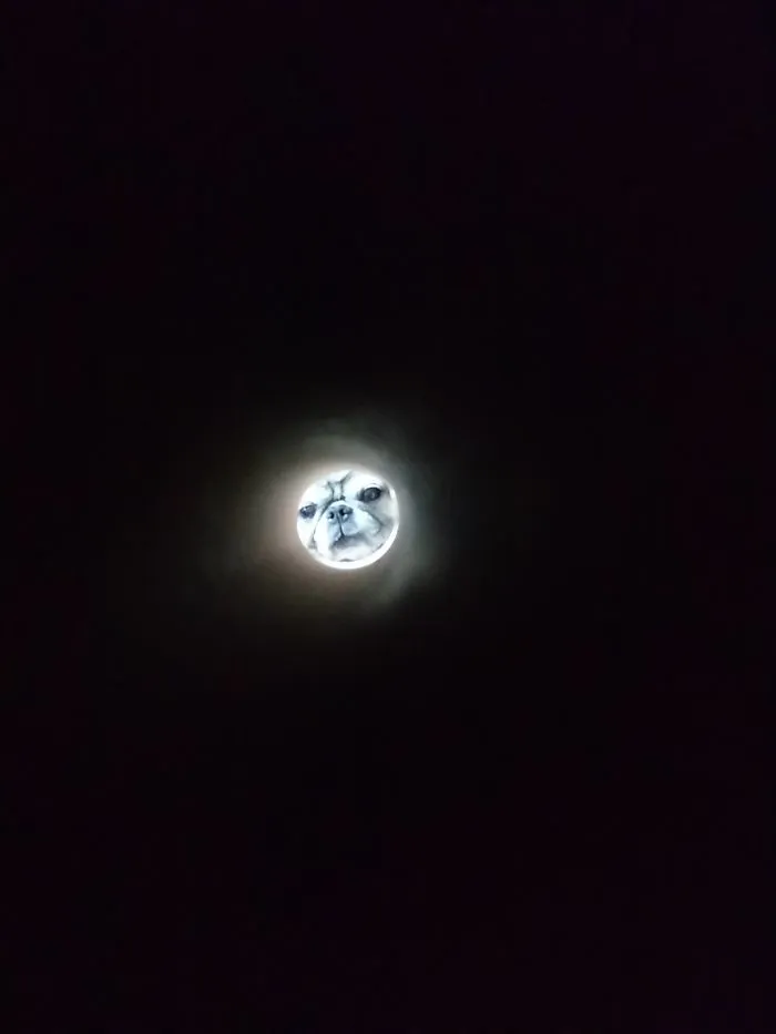 Alien Moon