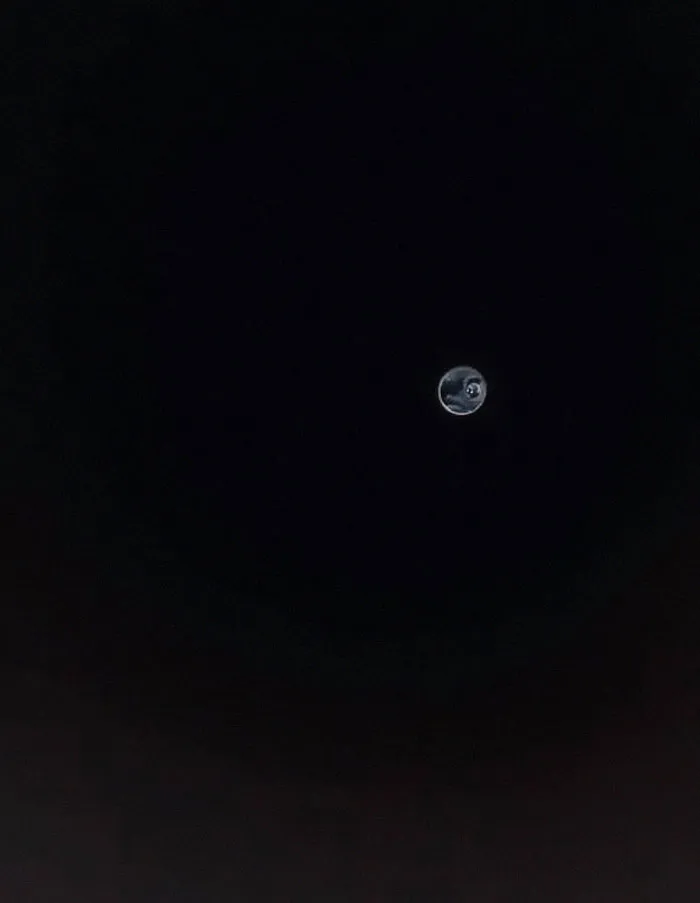 Mi luna