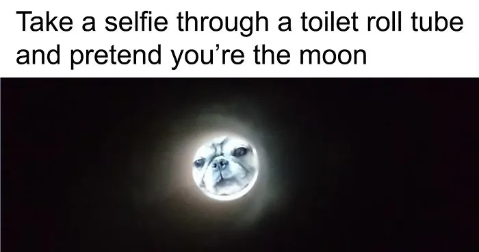 Apparently, If You Take A Selfie Through A Toilet Roll Tube You'll Look Like The Moon, And The Pics Are Mildly Funny