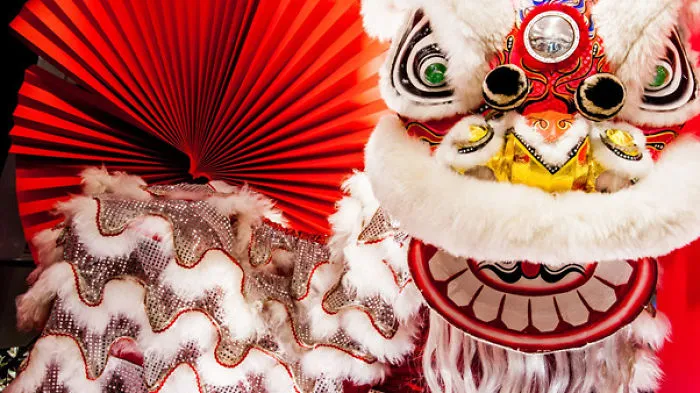 Oink – Let’s Celebrate The Year Of The Pig