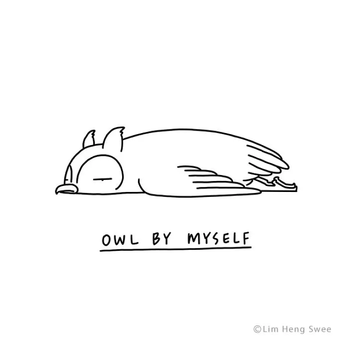 Owl