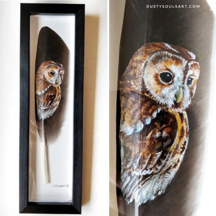 Tawny Owl On Goose