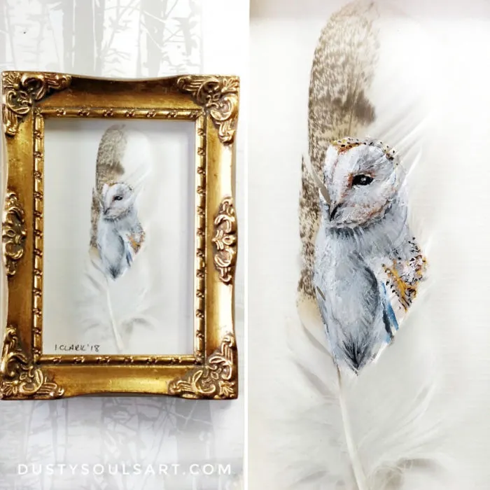 Barn Owl On Barn Owl