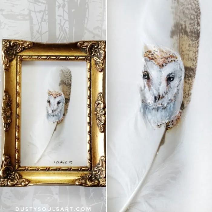 Barn Owl On Barn Owl