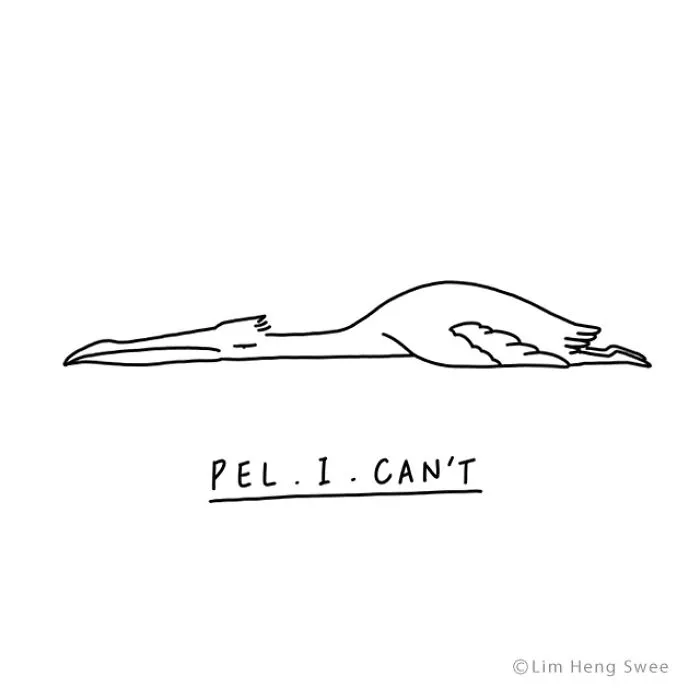 Pelican