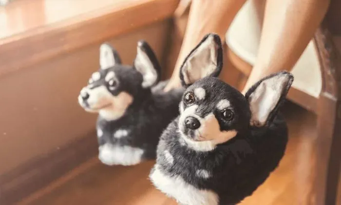 This Company Makes Slippers That Look Just Like People's Pets And They Are So Realistic That Dogs Get Jealous