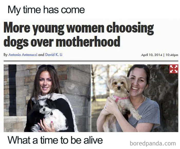 People Who Prefer Pets Over Kids Are Creating Funny Memes That Explain Their Choice