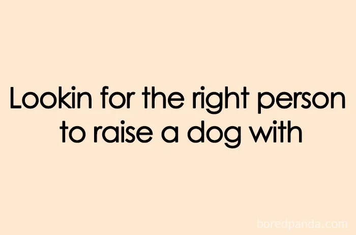 People Who Prefer Pets Over Kids Are Creating Funny Memes That Explain Their Choice