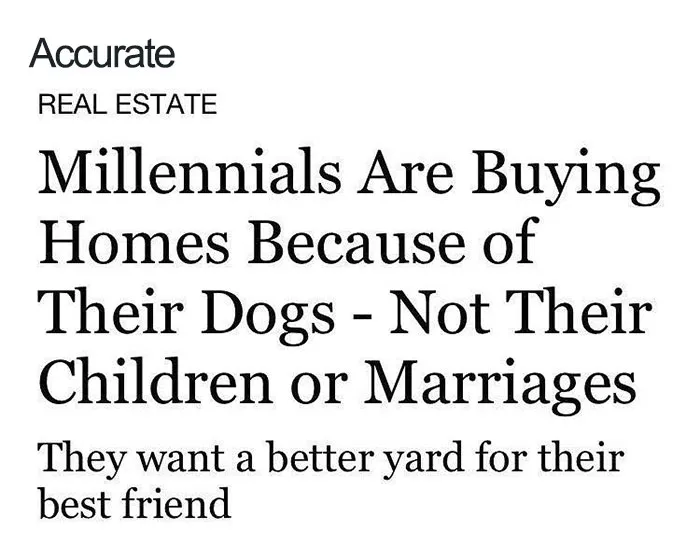 People Who Prefer Pets Over Kids Are Creating Funny Memes That Explain Their Choice