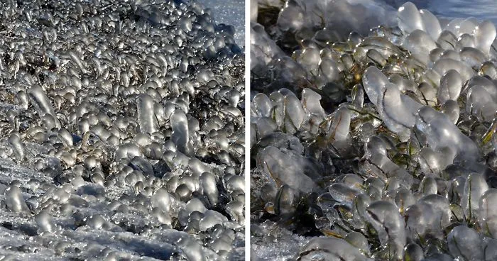 Freezing Temperatures And Strong Winds Turned Balaton Lake Into A Winter Wonderland