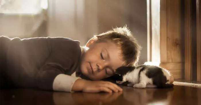 My Cats Are Afraid Of Kids Except For My Son So I Decided To Capture Their Bond (20 Pics)