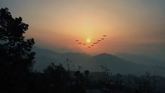 The Treks You Can Go From Your Favorite City Pokhara