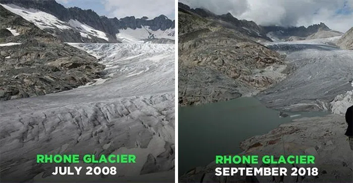 33 Uncomfortable Nature Photos For The 10 Year Challenge