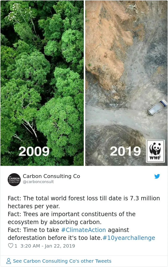 33 Uncomfortable Nature Photos For The 10 Year Challenge