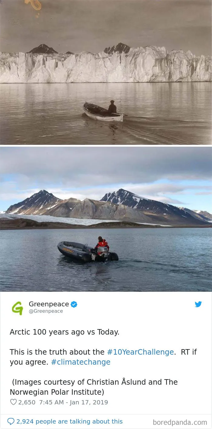 33 Uncomfortable Nature Photos For The 10 Year Challenge