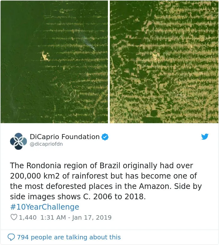 33 Uncomfortable Nature Photos For The 10 Year Challenge