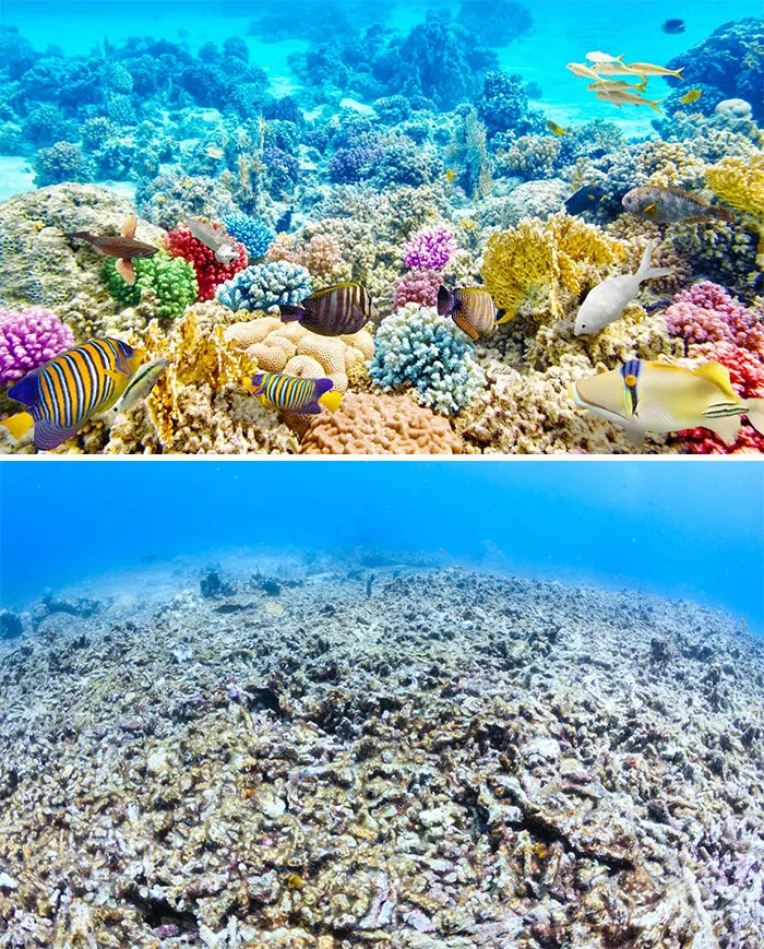 33 Uncomfortable Nature Photos For The 10 Year Challenge