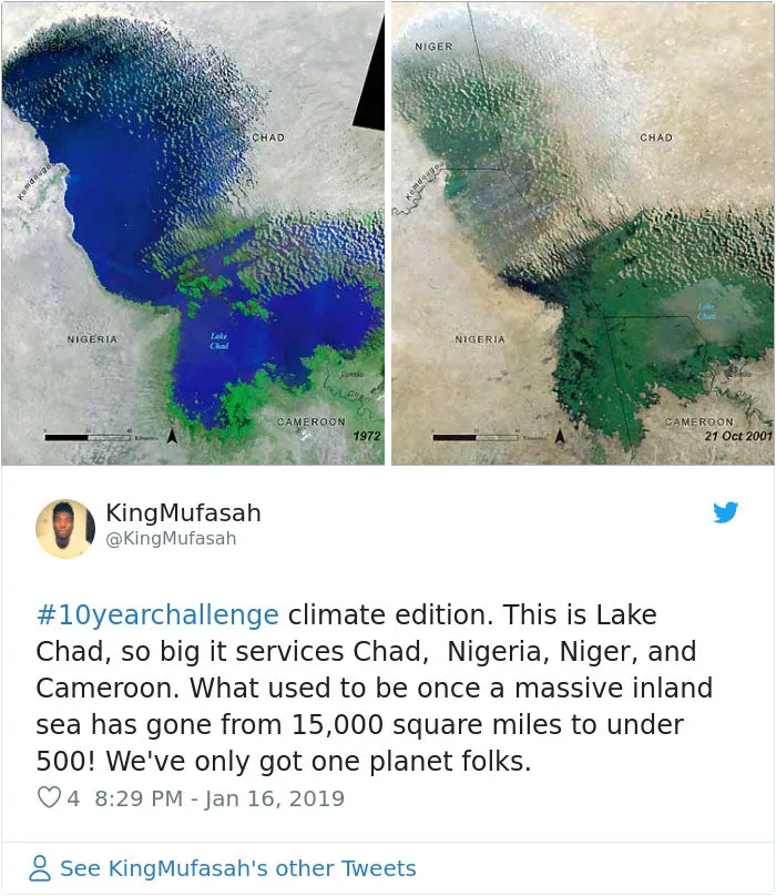 33 Uncomfortable Nature Photos For The 10 Year Challenge
