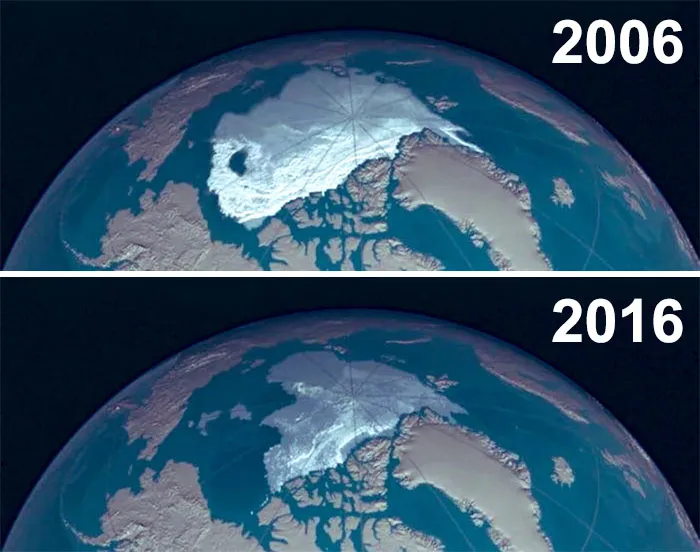 33 Uncomfortable Nature Photos For The 10 Year Challenge
