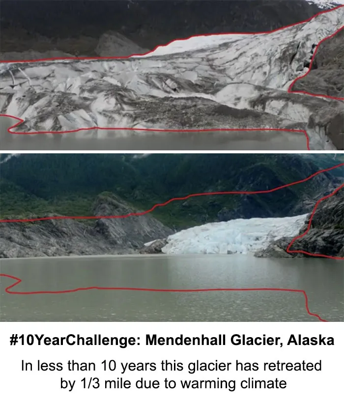33 Uncomfortable Nature Photos For The 10 Year Challenge