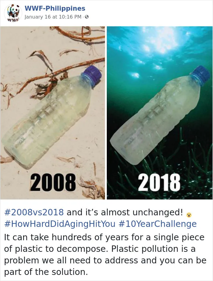33 Uncomfortable Nature Photos For The 10 Year Challenge