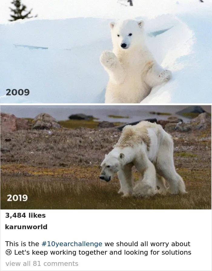 33 Uncomfortable Nature Photos For The 10 Year Challenge