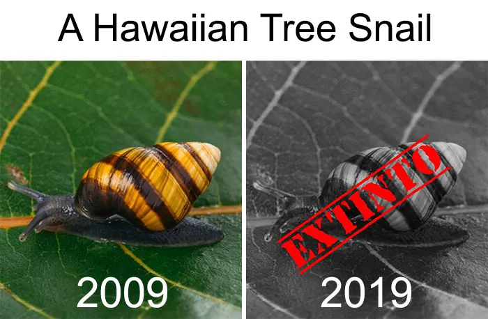 33 Uncomfortable Nature Photos For The 10 Year Challenge