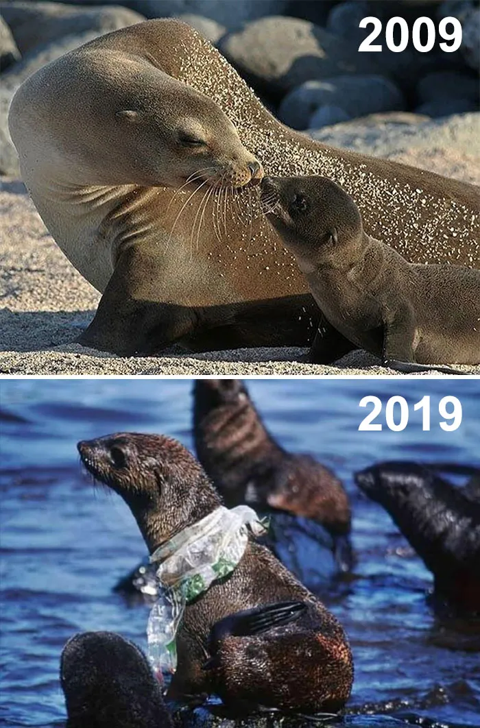 33 Uncomfortable Nature Photos For The 10 Year Challenge