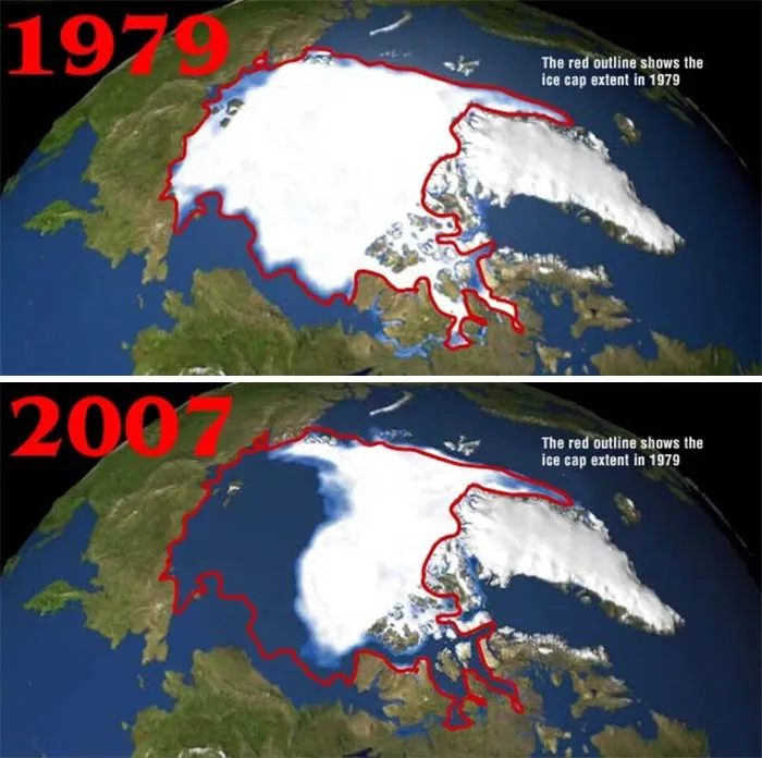 33 Uncomfortable Nature Photos For The 10 Year Challenge