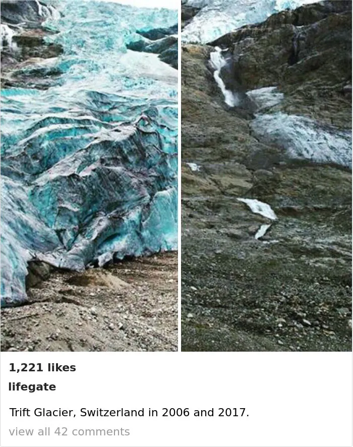 33 Uncomfortable Nature Photos For The 10 Year Challenge