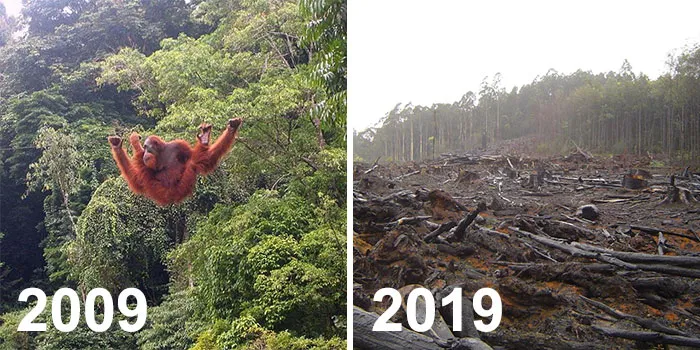 33 Uncomfortable Nature Photos For The 10 Year Challenge