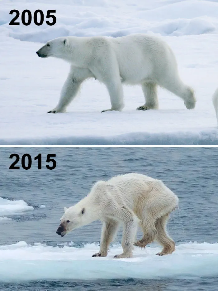33 Uncomfortable Nature Photos For The 10 Year Challenge