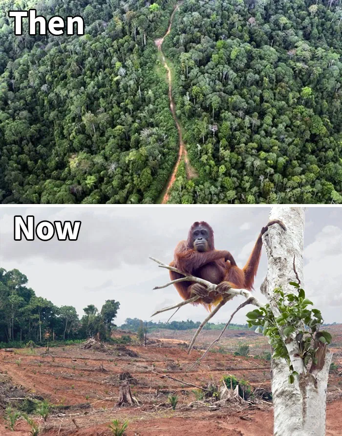 33 Uncomfortable Nature Photos For The 10 Year Challenge