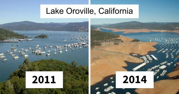 33 Uncomfortable Nature Photos For The 10 Year Challenge