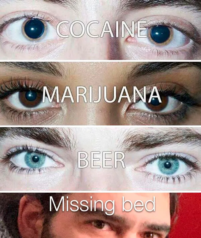Guy Gets So Drunk He Can't Find His Bed In His Own Home, His Bandmates Create Hilarious Memes (21 Pics)