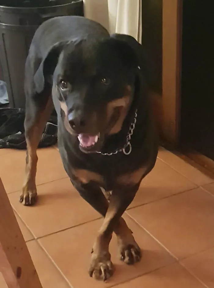 This Is My Boofhead. This Is How She Stands, All The Time