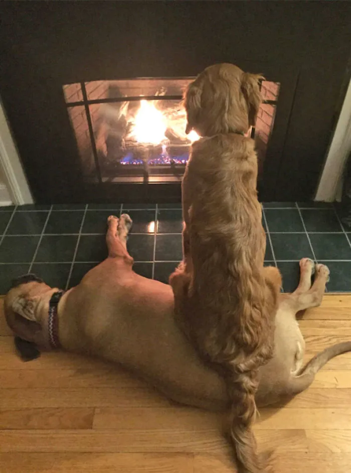 Anywhere. You Could Sit Anywhere