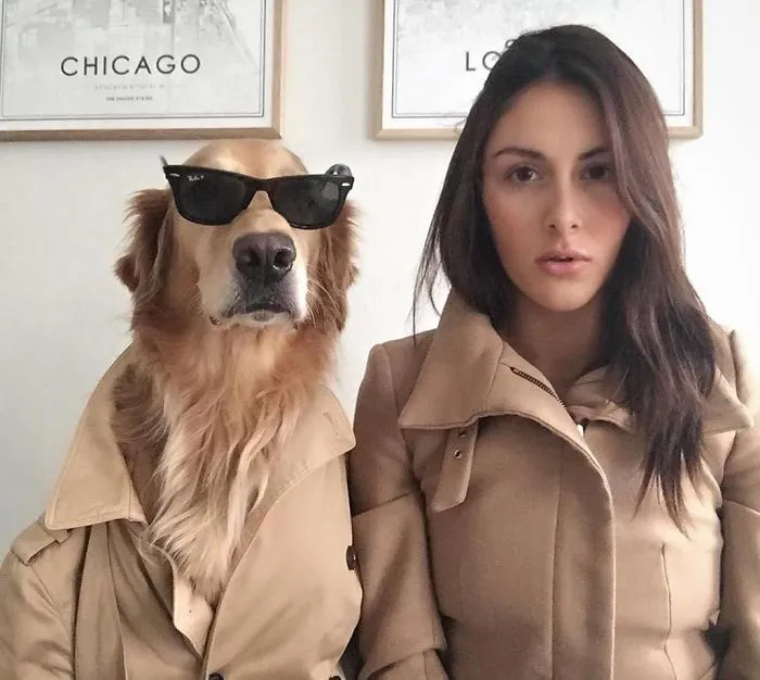 Estoy un poco obsesionada con mi perro, pero no me arrepiento en ningún momento (22 fotos)