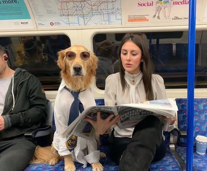 Estoy un poco obsesionada con mi perro, pero no me arrepiento en ningún momento (22 fotos)
