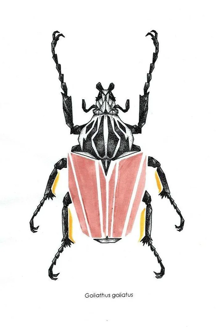French Artist Draws Beautiful "Low Poly" Insects