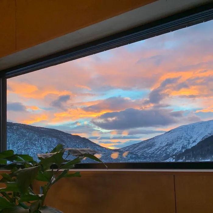 The View From My House Looks Like A Painting