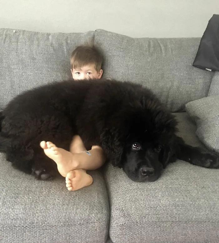 When The Lap Is Too Small For You But You Don't Mind Because You Are A God Boy