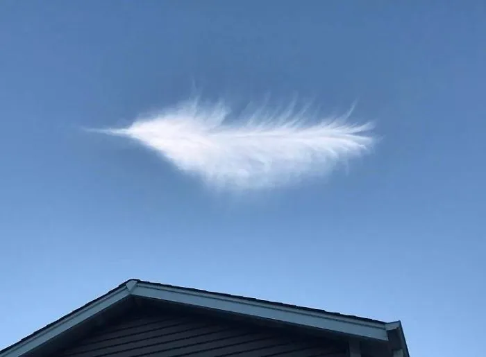 Nube que parece una pluma