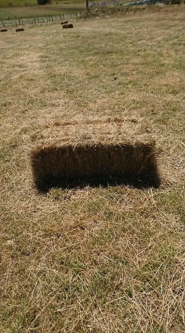 Bala de heno que parece un agujero en el suelo