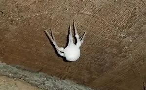 30 Times People Had No Idea What They Were Looking At, But The Internet Knew What It Was Right Away